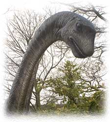 The National Show Caves Center of Wales and the largest dinosaur park in Europe are a short drive away from Lothlorien Cottage.