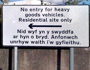 baaa stud video wales shepherds and sheepdogs, welsh humour, welsh jokes